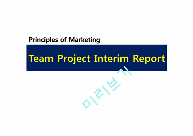 Team Project Interim Report   (1 )